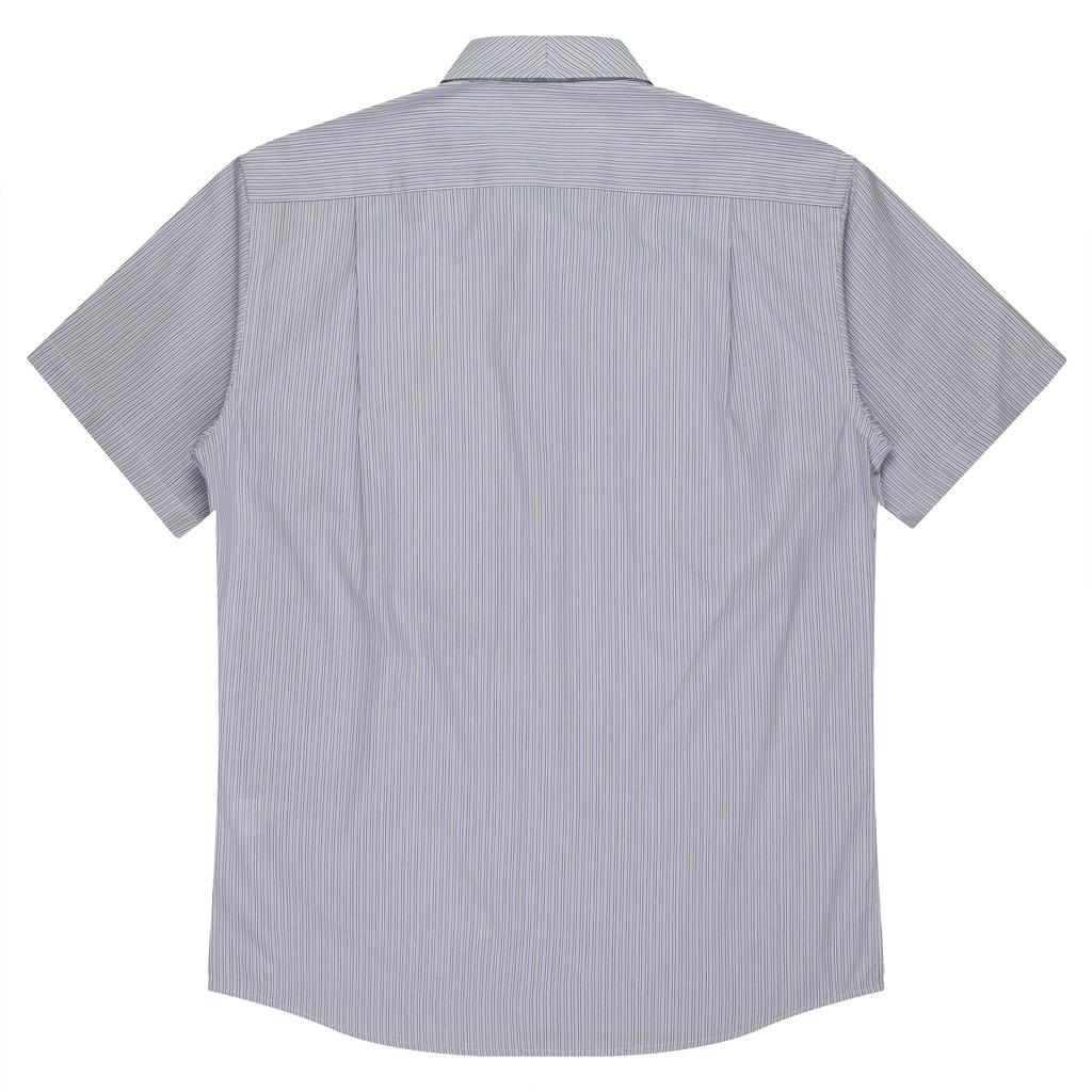 Back - 1906S01190