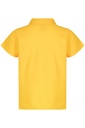 Back View - 3312064