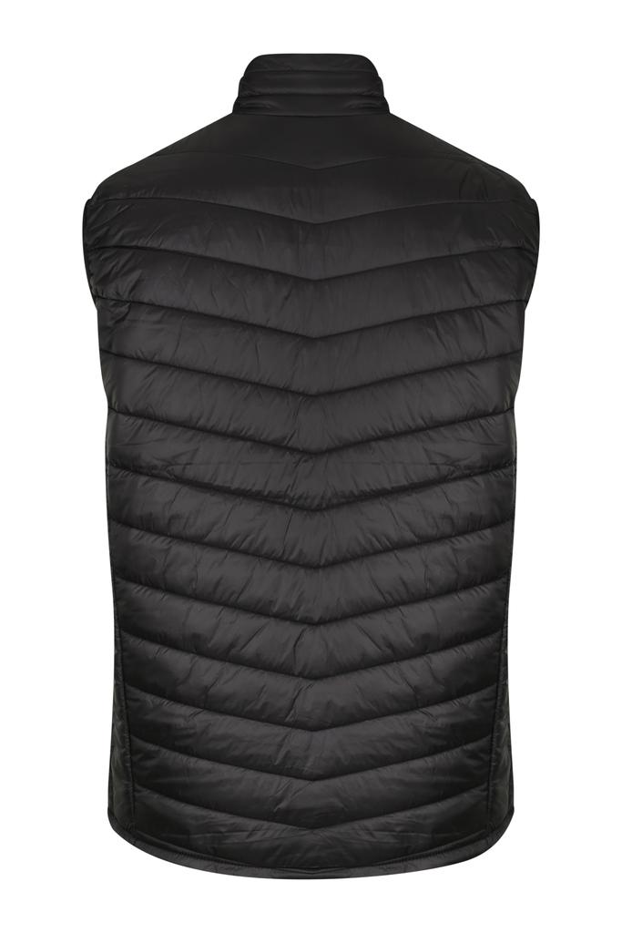 Back View - 1523029