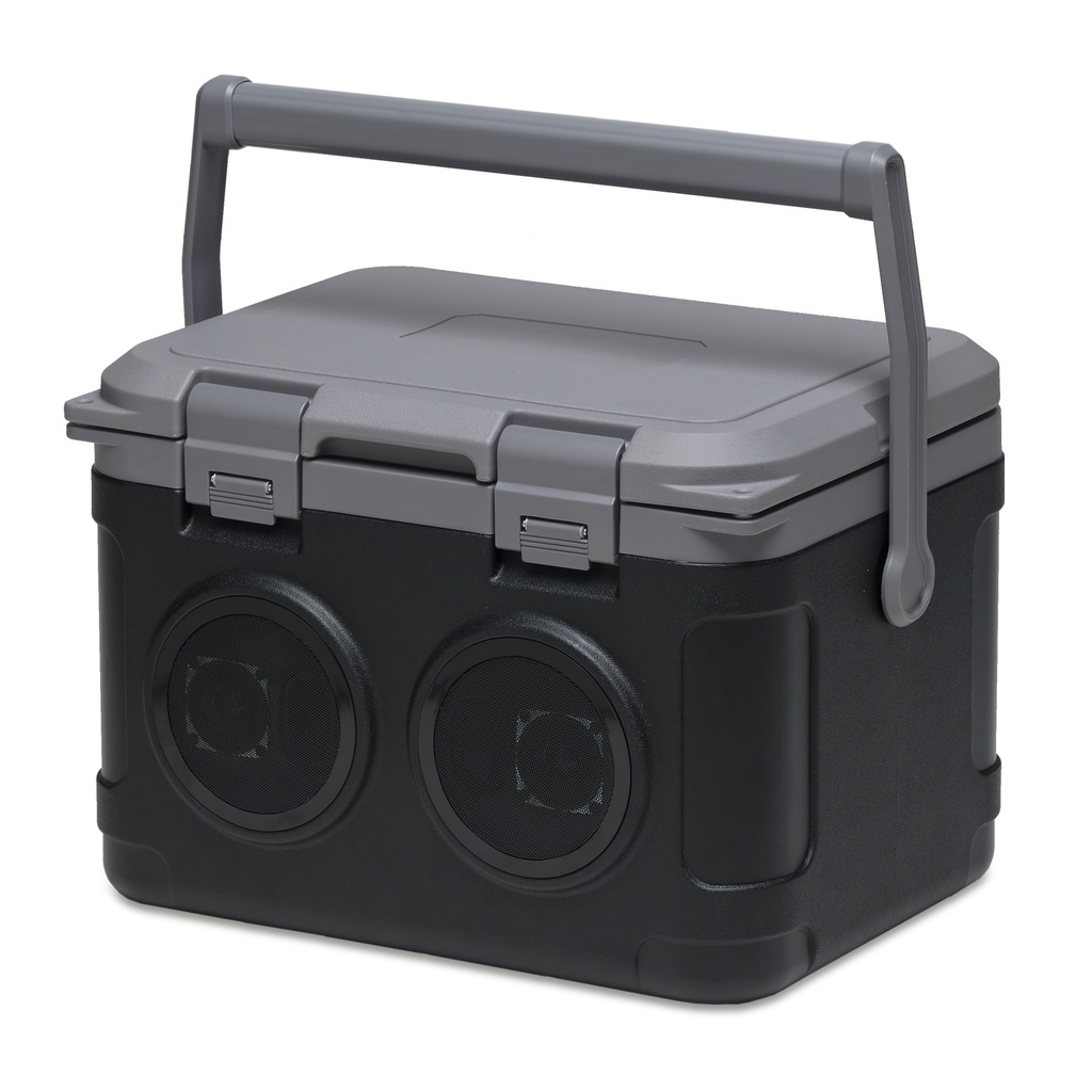 IGOISB - On-Ice 21L Sound Box