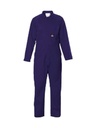 N1736 - FR PROBAN DOME FRONT OVERALL